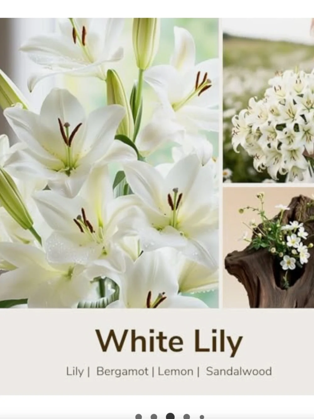 White Lily Scented 2-wick Soy Candle - Pink Glass Jar with Gold Lid XL 20oz